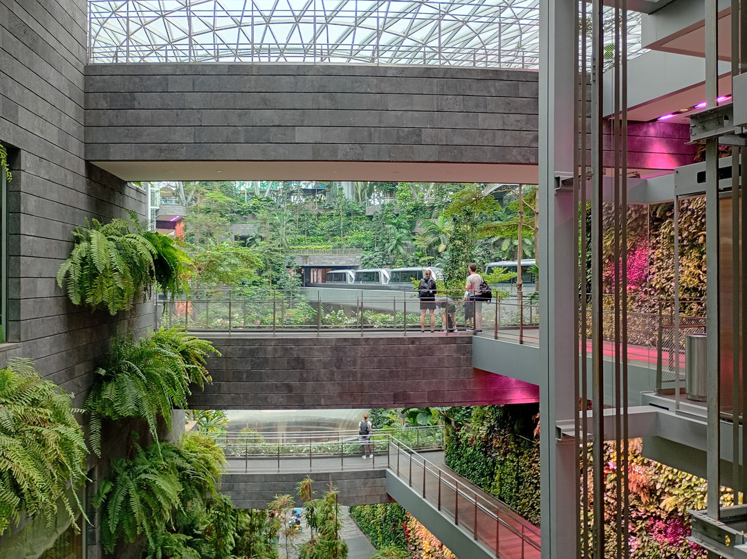 Jewel Changi Airport-新加坡必去景点