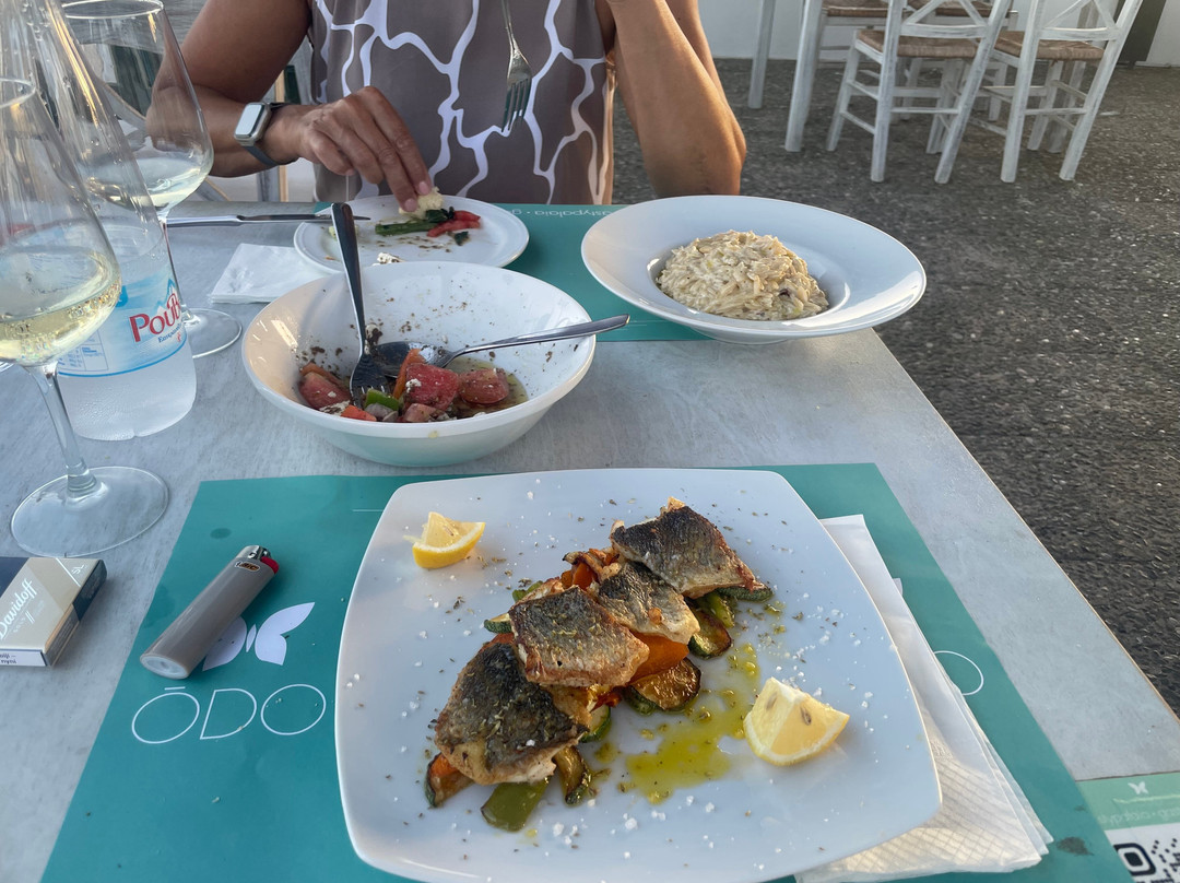 Odo Gastronomy