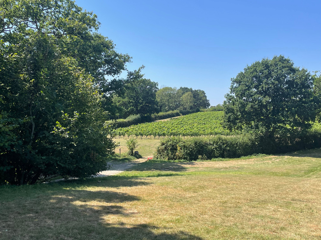 Chapel Down
