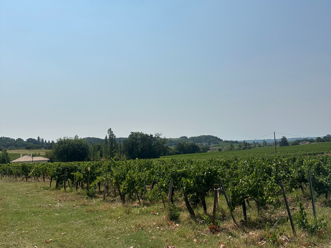 Château Petit Mangot-Saint-Etienne-De-Lisse必去景点