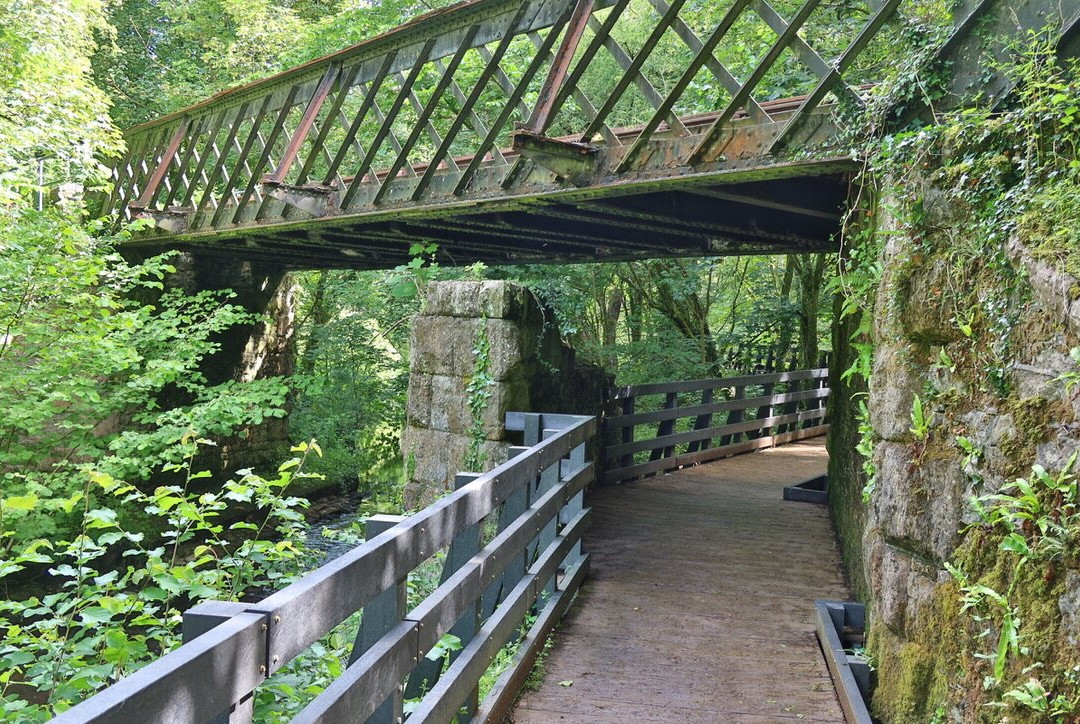 The Dingle (Nant y Pandy) Nature Reserve-Llangefni必去景点