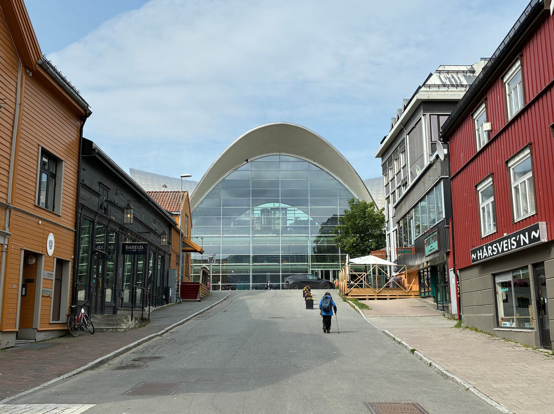 Tromsø Public library and City Archives-特罗姆瑟必去景点