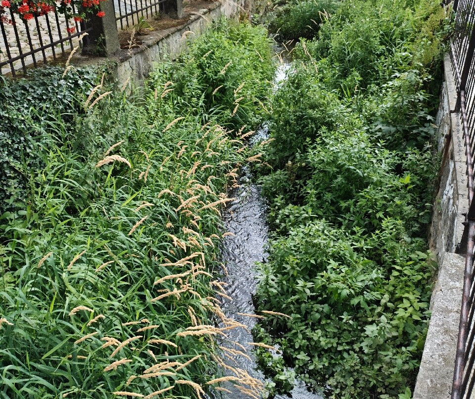Altstadt-奎德林堡必去景点