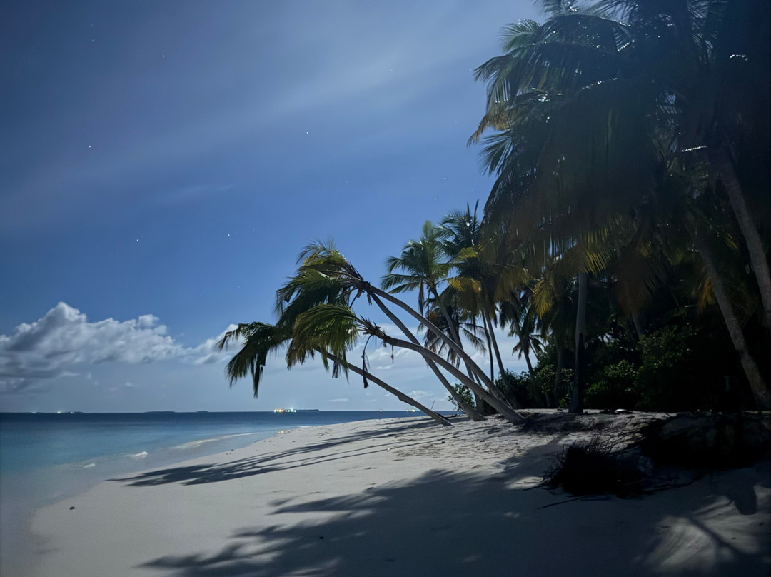 Adora Liveaboard, Maldives-马累必去景点