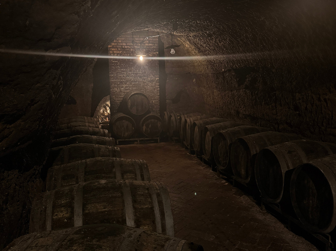 Cantine del Notaio-Rionero in Vulture必去景点