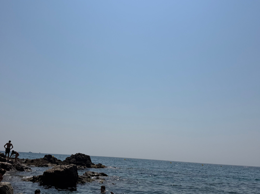 Cala de Sant Francesc-布拉内斯必去景点