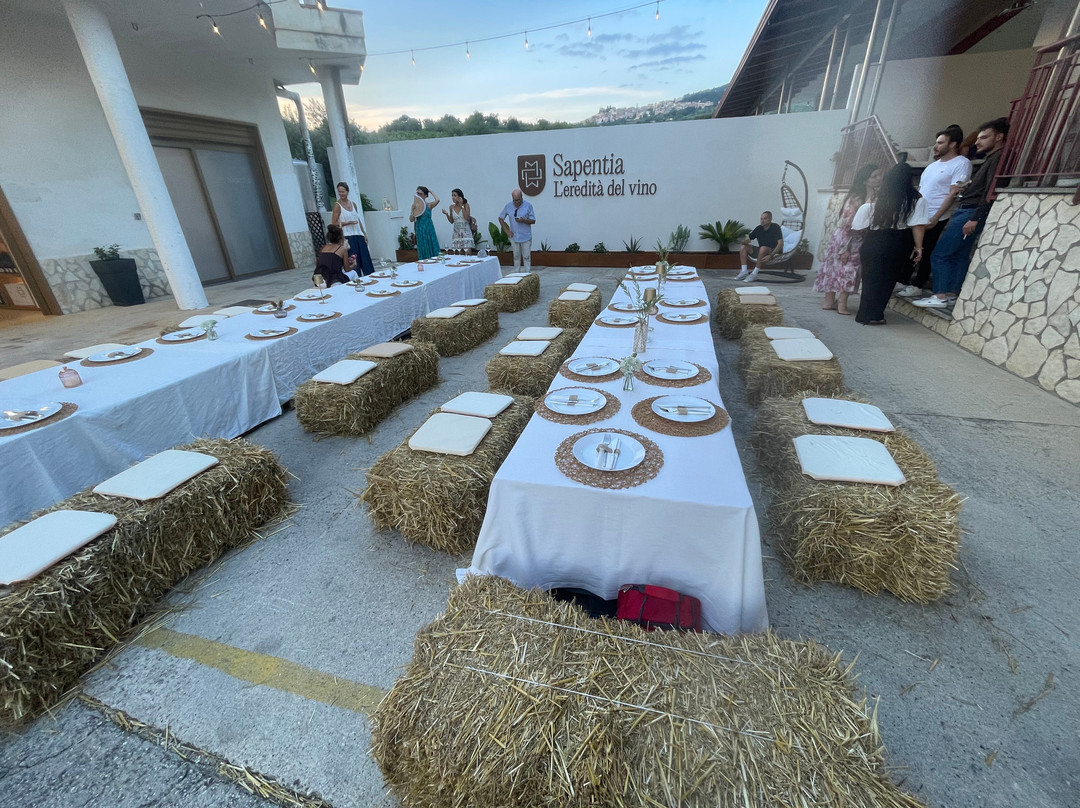 Sapentia Wine - L'Eredità del Vino