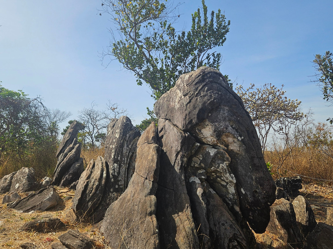 Parque Estadual da Serra dos Pireneus-Pirenopolis必去景点