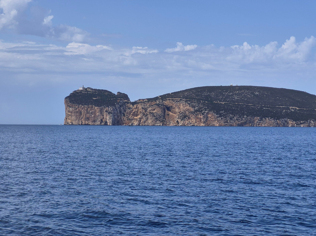 Capo Galera Diving Center-阿尔盖罗必去景点