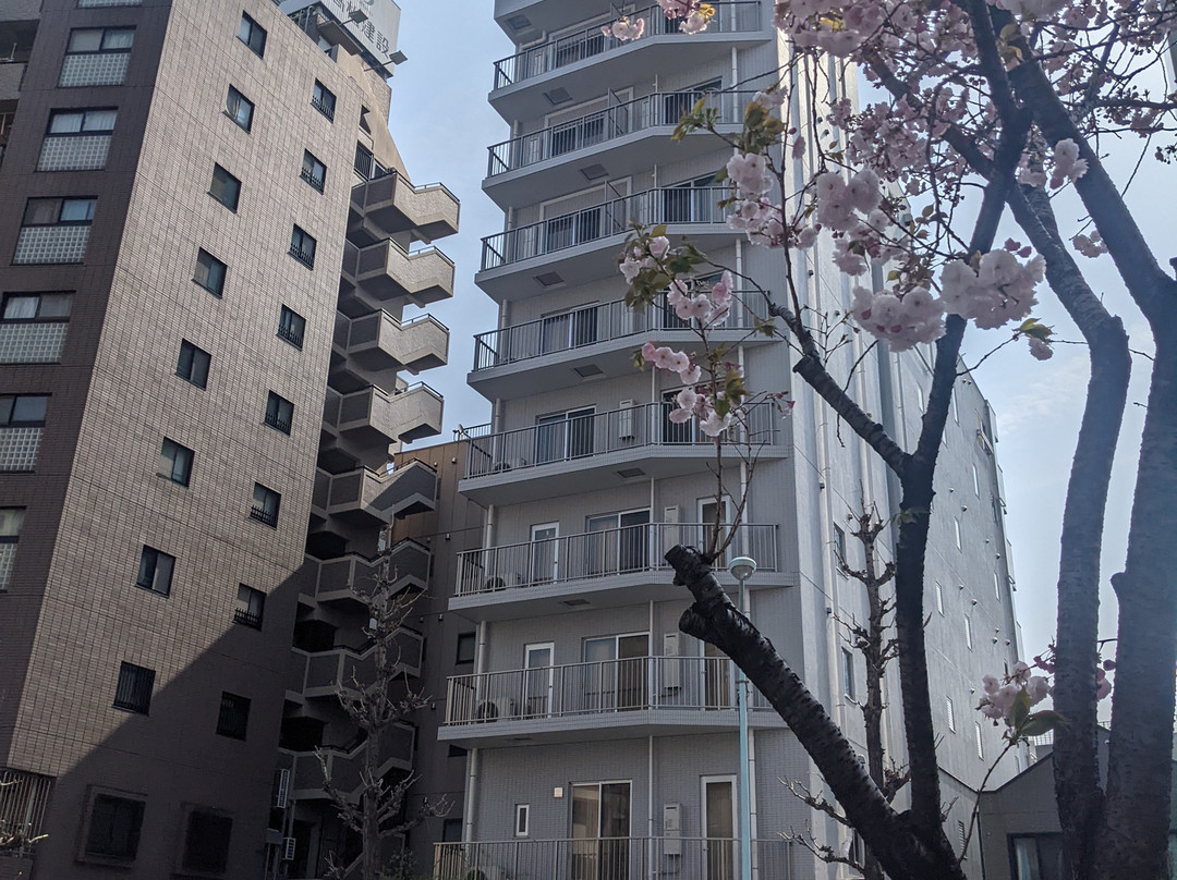 东摩斯浅草酒店
