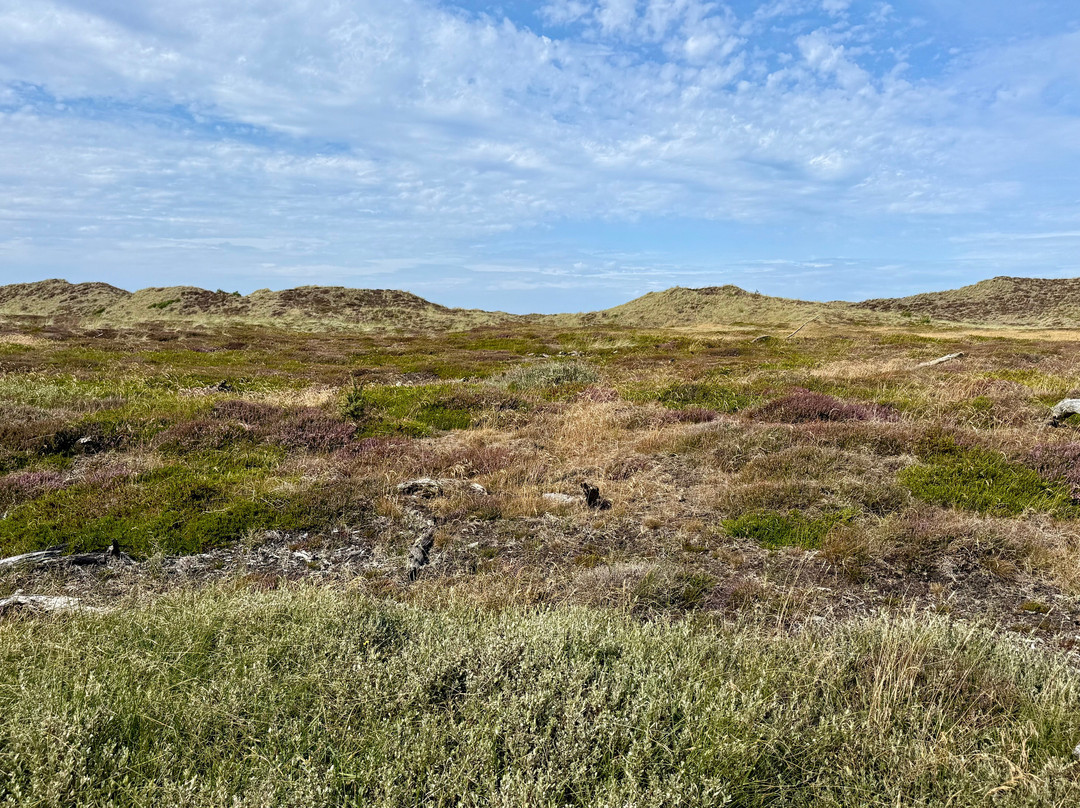 Thy National Park-Hurup必去景点