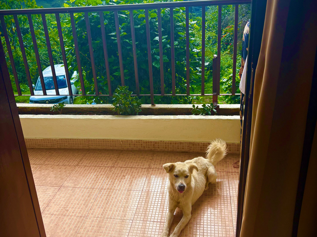 Karma Martam Retreat主图