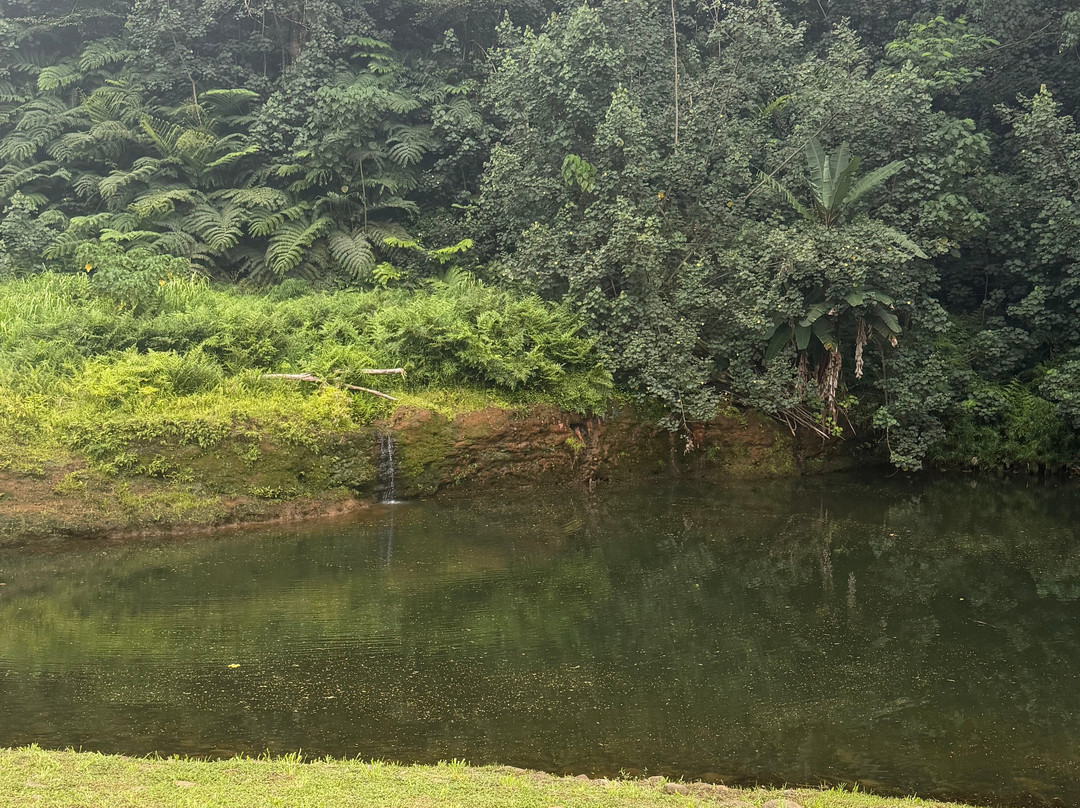 Kauai Backcountry Adventures-哈纳玛鲁必去景点