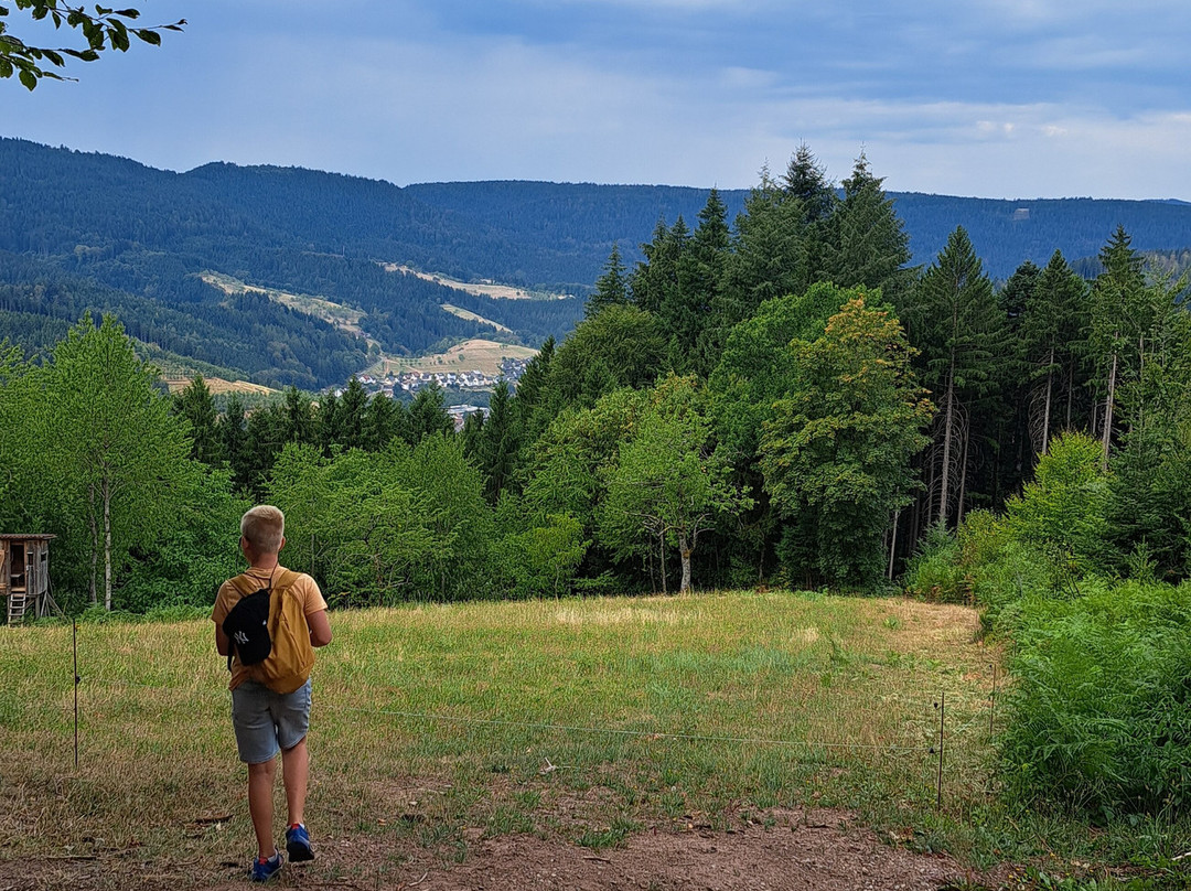 Himmelssteig-Bad Peterstal-Griesbach必去景点