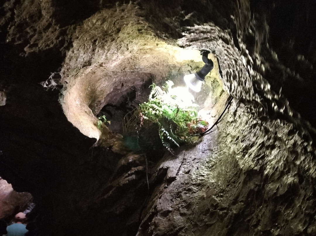 Grotte Et Cascade De Seythenex-Seythenex必去景点