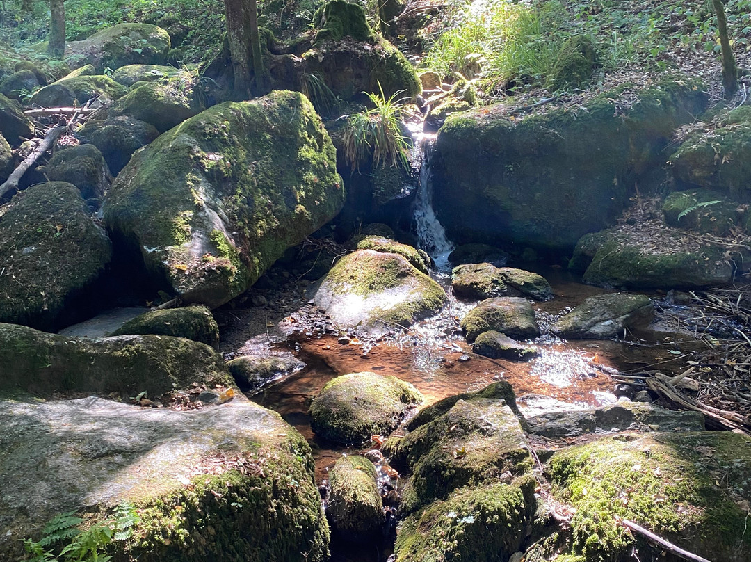 Gertelbach-Wasserfälle-Buehlertal必去景点