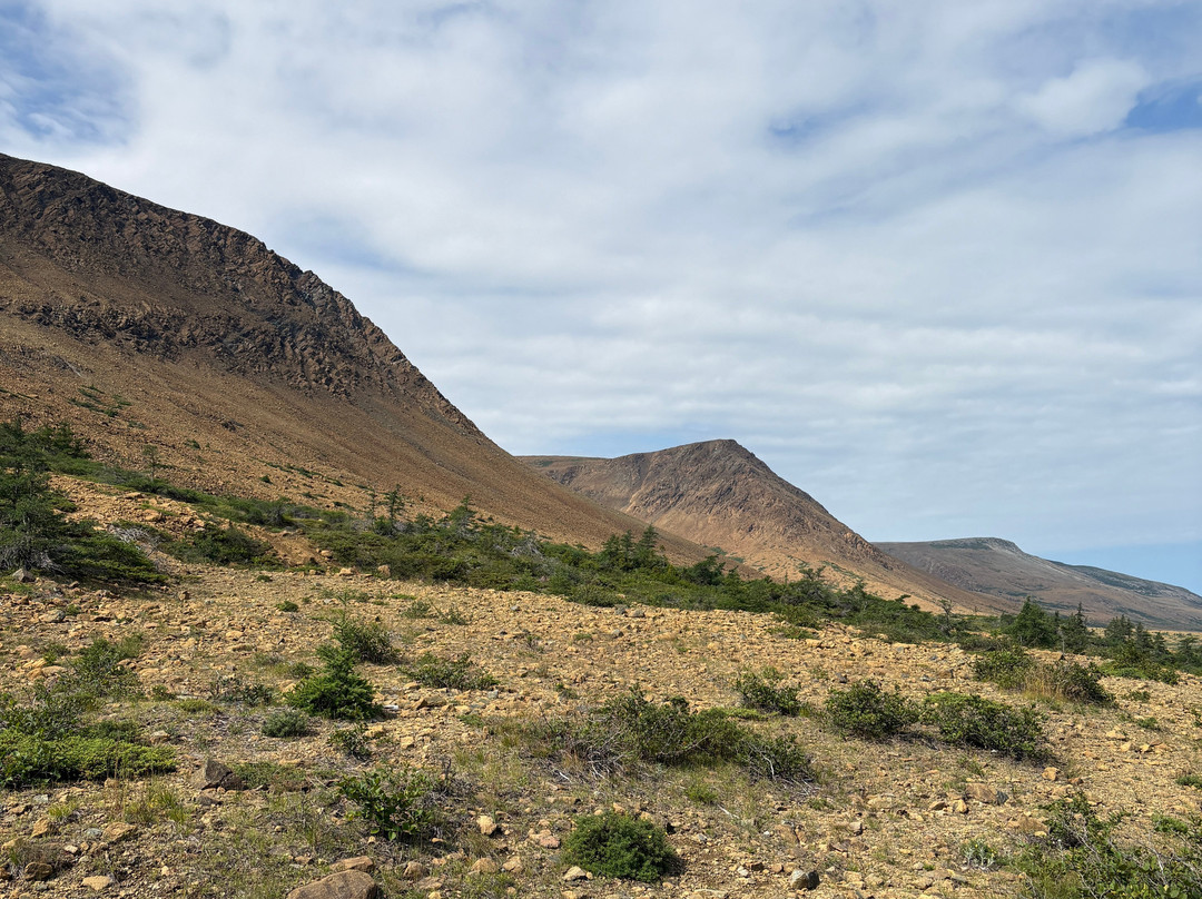 Seaside Suites Gros Morne Newfoundland主图