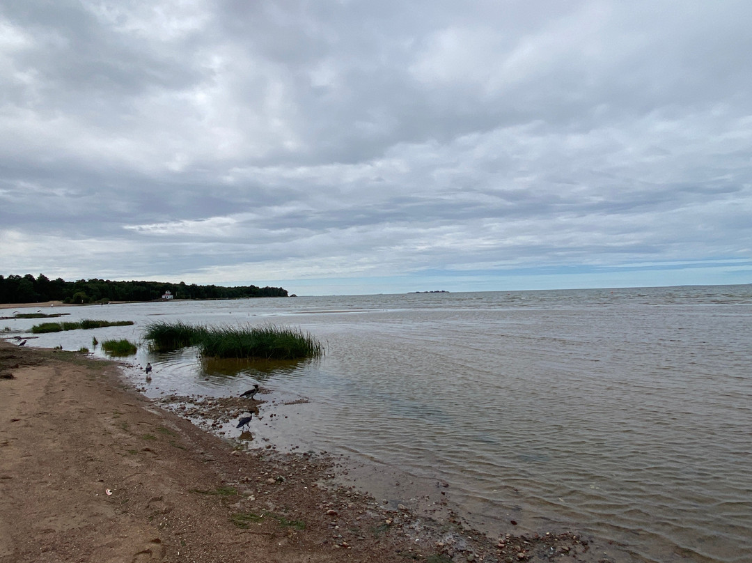 Dubkovskiy Beach