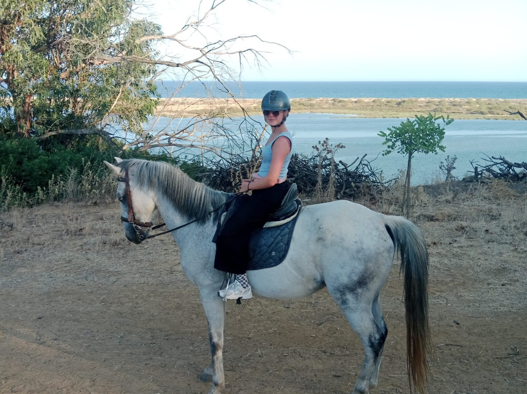 Tavira Equestrian Tourism-塔维拉必去景点