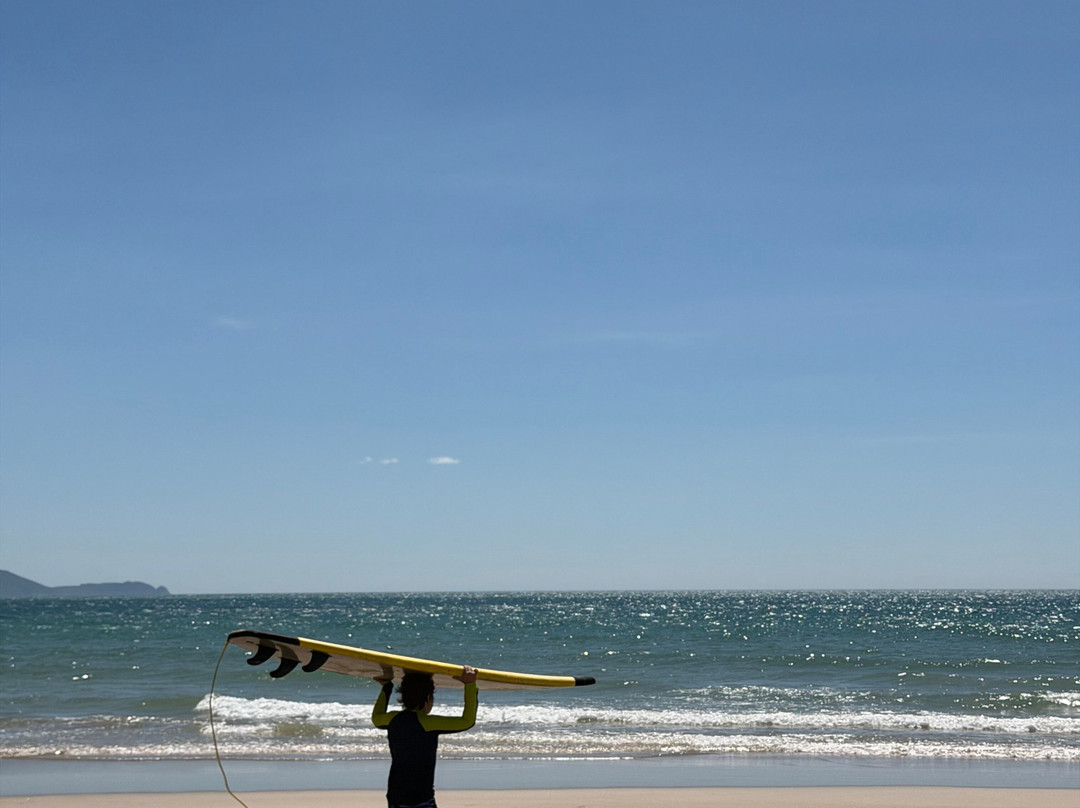Surfing LIVE Surf School-芽庄必去景点