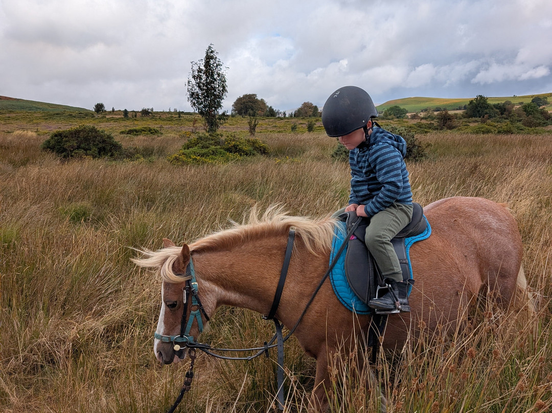 Bryngwyn Riding Centre-Kington必去景点