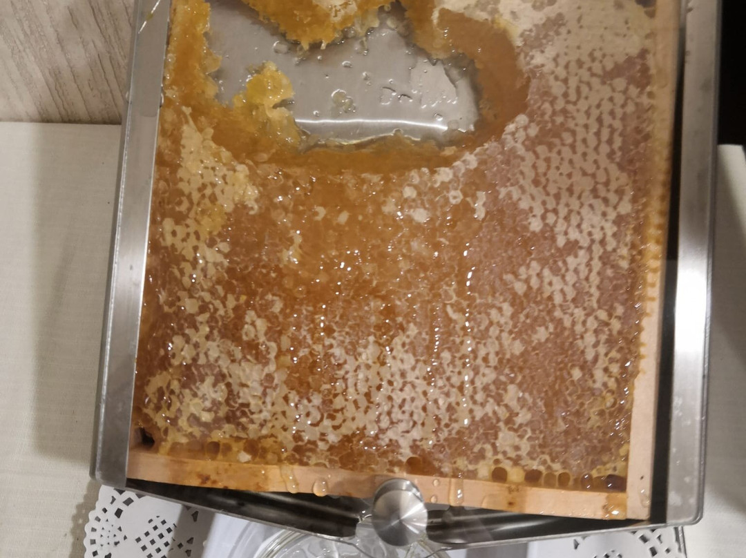 赫利俄斯大酒店主图