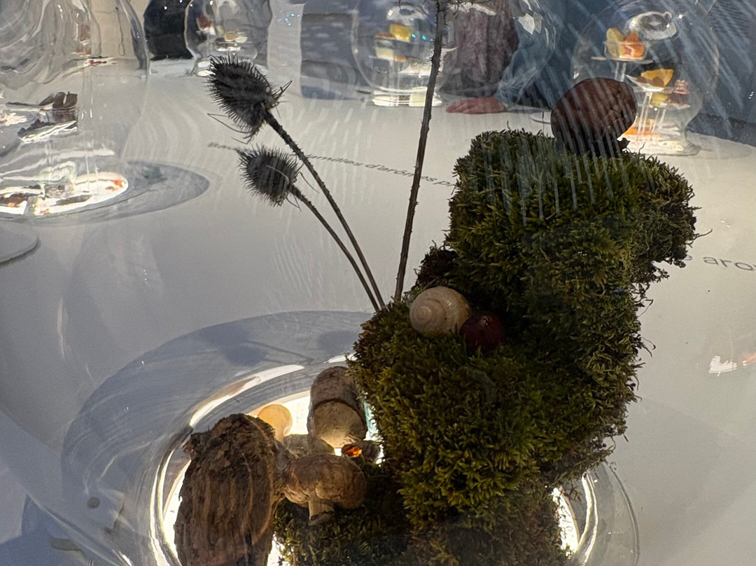 Cité des Climats et vins de Bourgogne-梅肯必去景点