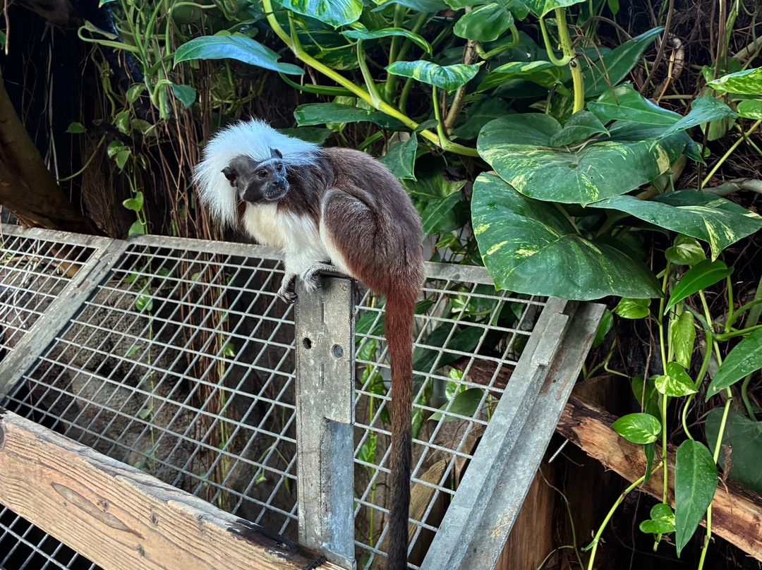 Krokodille Zoo-Eskilstrup必去景点