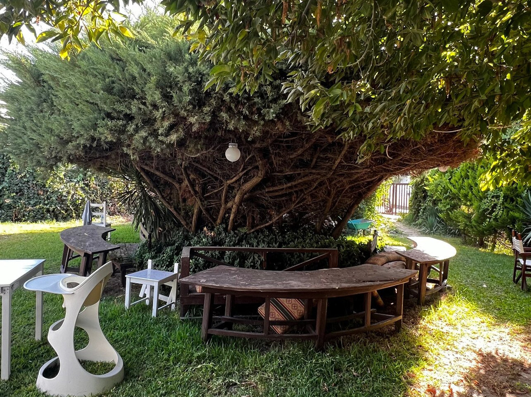 HADİGARİ Orsen Garden Cafe Restoran
