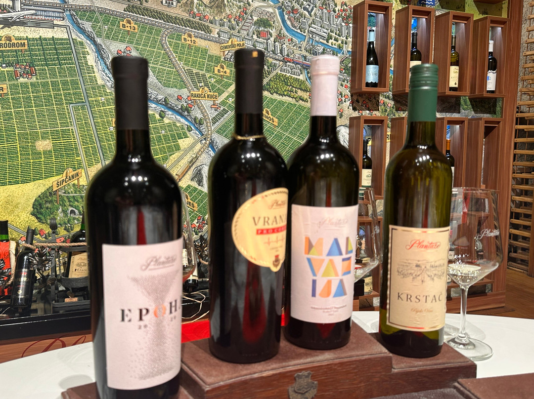 Wine Cellar Šipčanik, 13.jul Plantaže-Tuzi必去景点