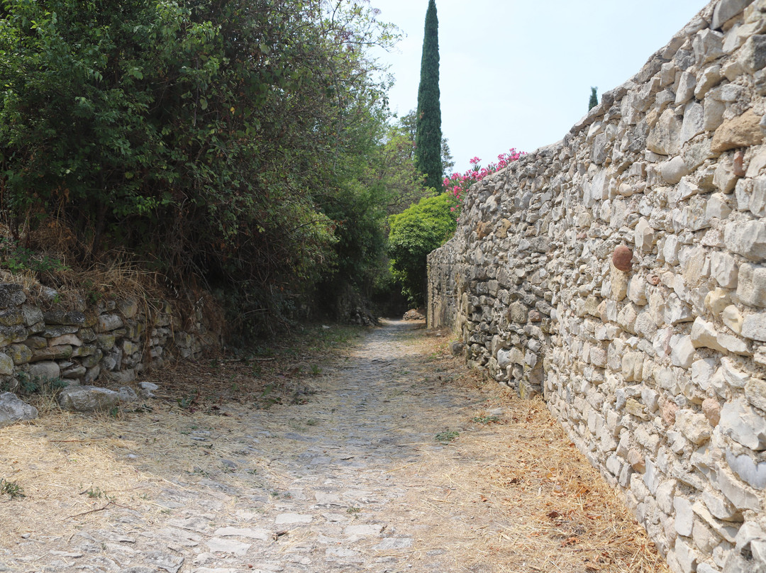 Vaison la Romaine-韦松拉罗迈纳必去景点