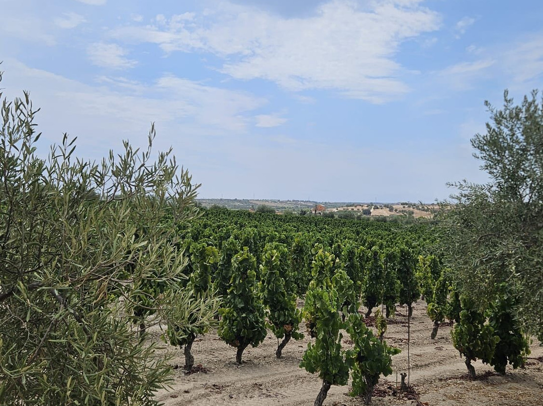 Tenuta Vendicari - viabizzuno agricola-Pachino必去景点
