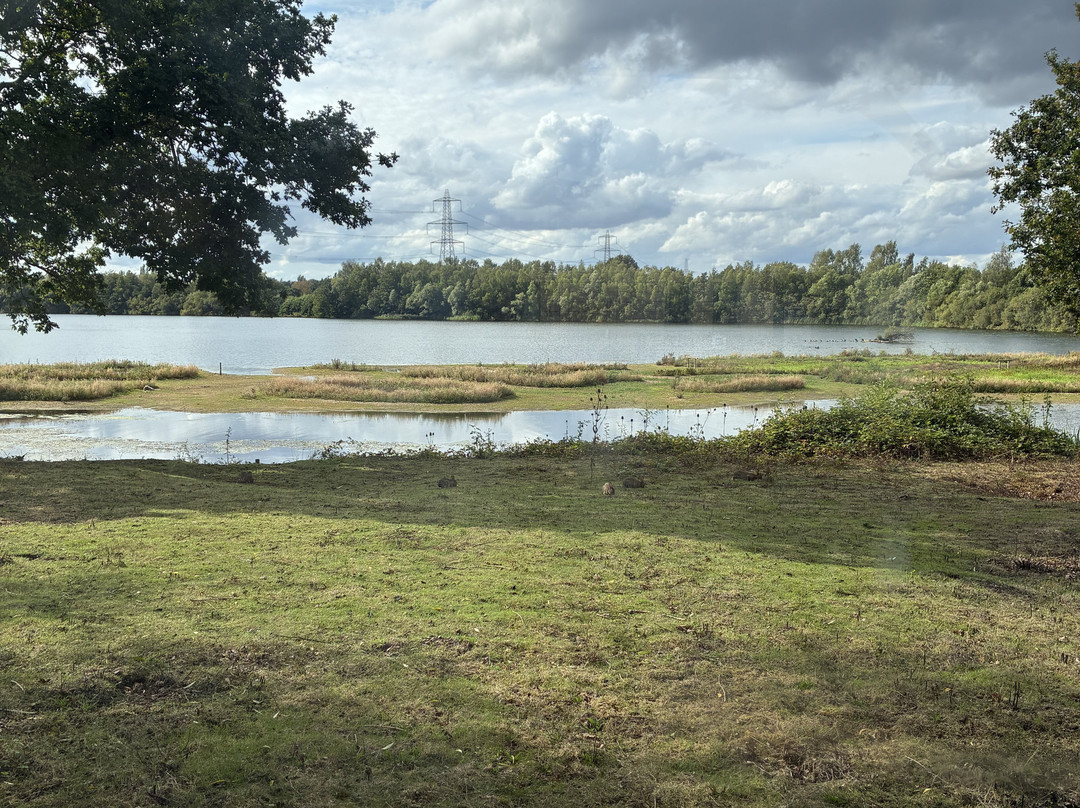 The Natural World Centre, Whisby-林肯必去景点
