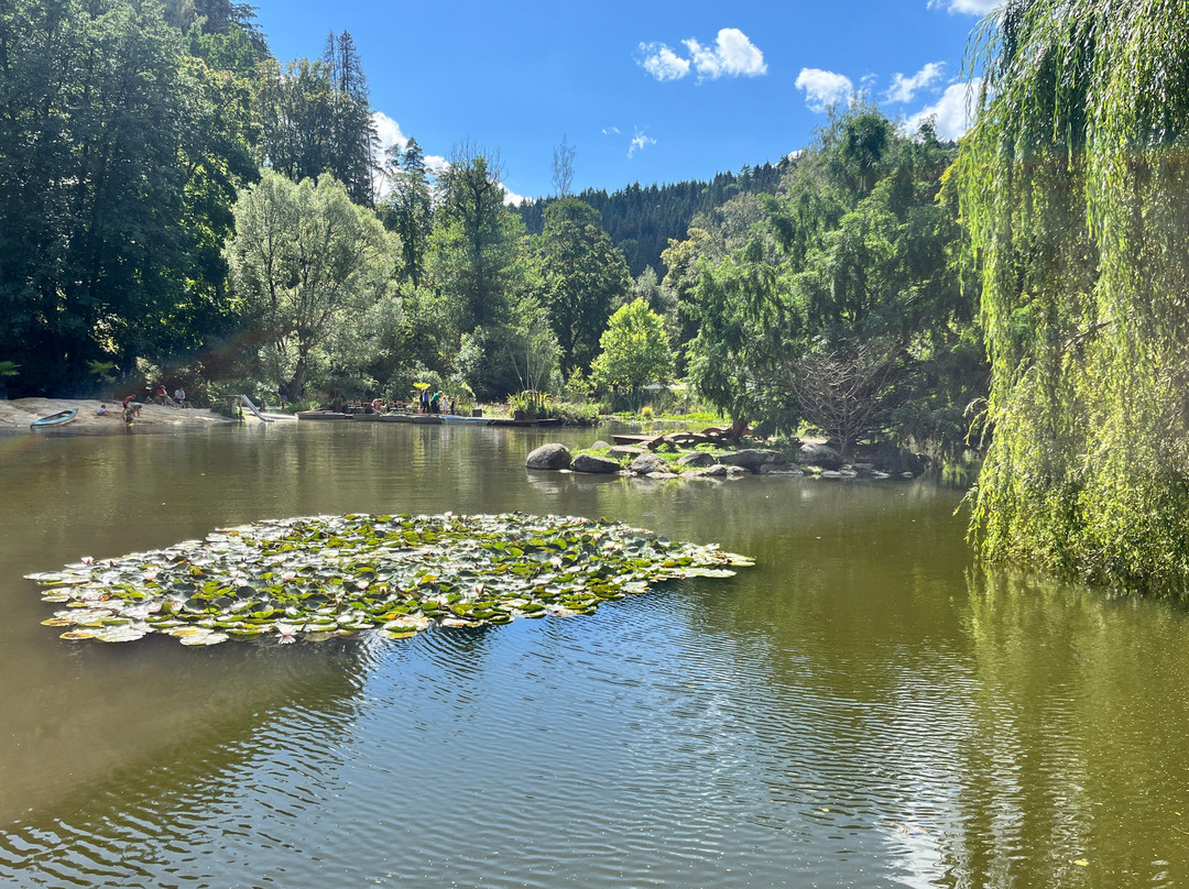 Botanical Garden Bečov nad Teplou-Becov nad Teplou必去景点