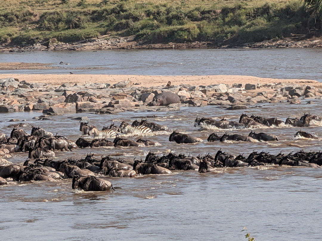 Katikati Tours and Safaris-阿鲁沙必去景点