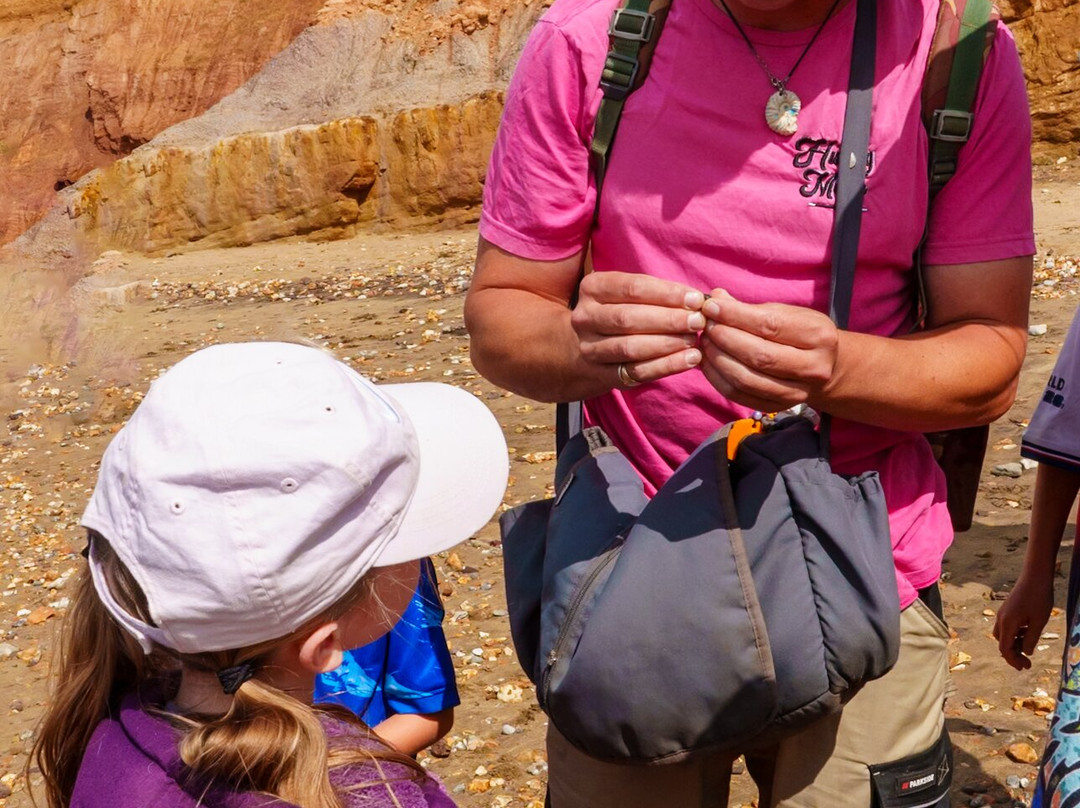 Isle of Wight Fossil Walks- Wight Coast Fossils-文特诺必去景点