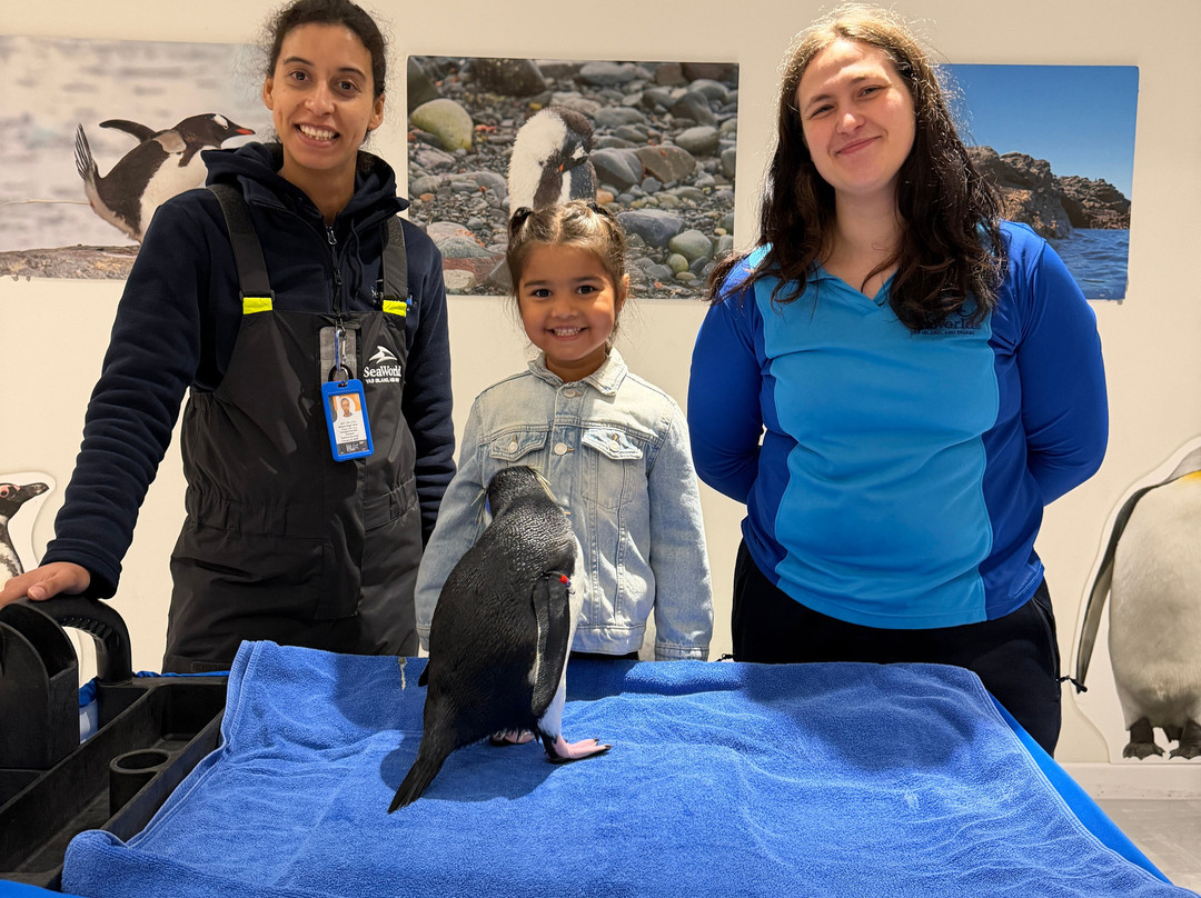 SeaWorld Yas Island Abu Dhabi-阿布扎比必去景点