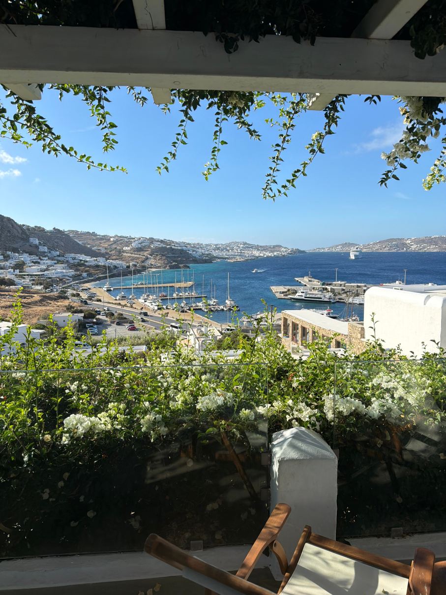 瑞尼亚米科诺斯酒店及简易别墅-旅行者