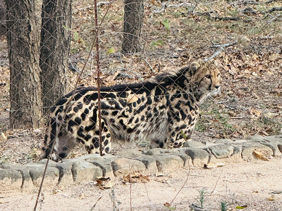 Hoedspruit Endangered Species Centre-霍德斯普鲁特必去景点