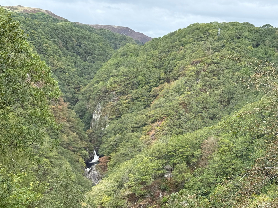 Devil's Bridge Waterfalls-Devil's Bridge (Pontarfynach)必去景点