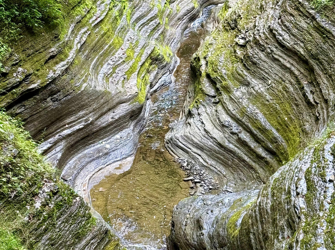 奶昔瀑布州立公园-伊萨卡必去景点