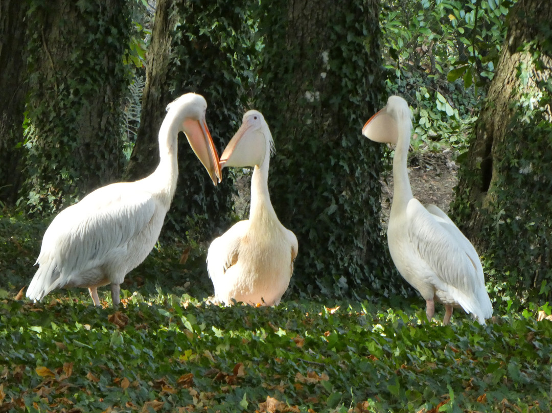Domaine de la Bourbansais-Pleugueneuc必去景点