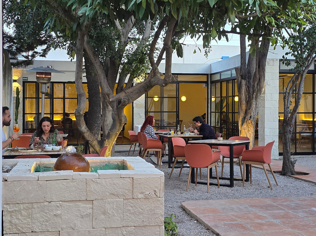 Nur.restaurantemx