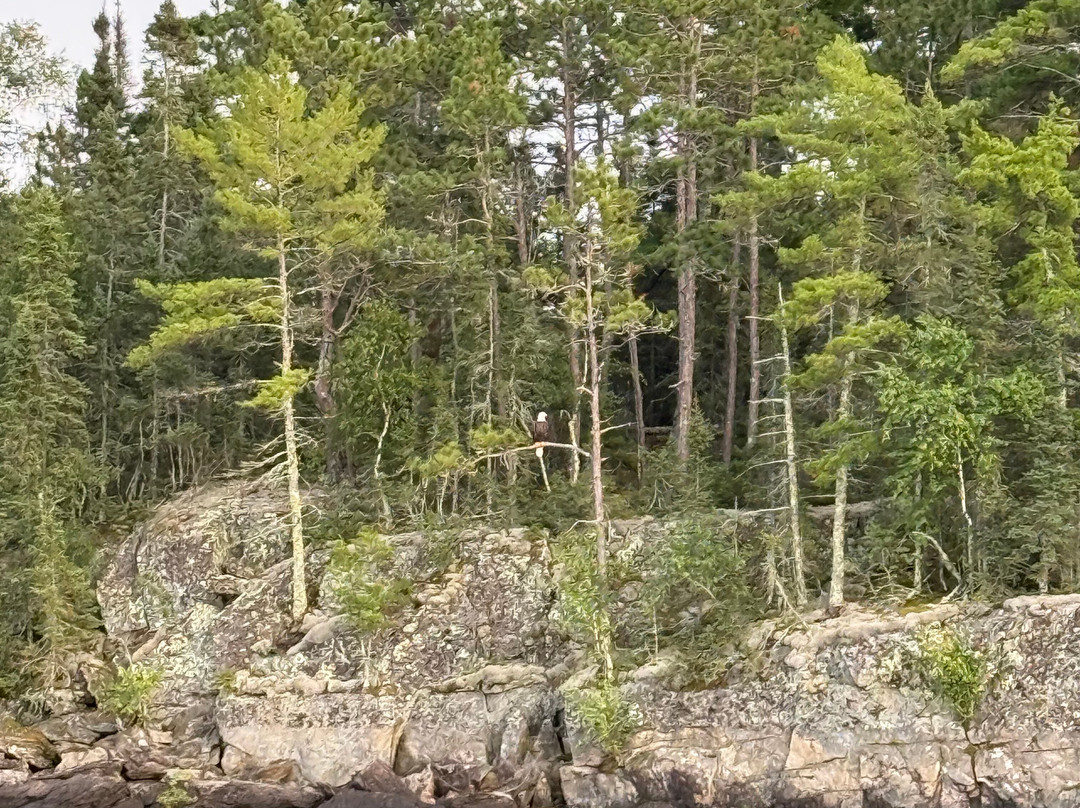 Voyageurs National Park Tours, Rainy Lake Guiding-International Falls必去景点