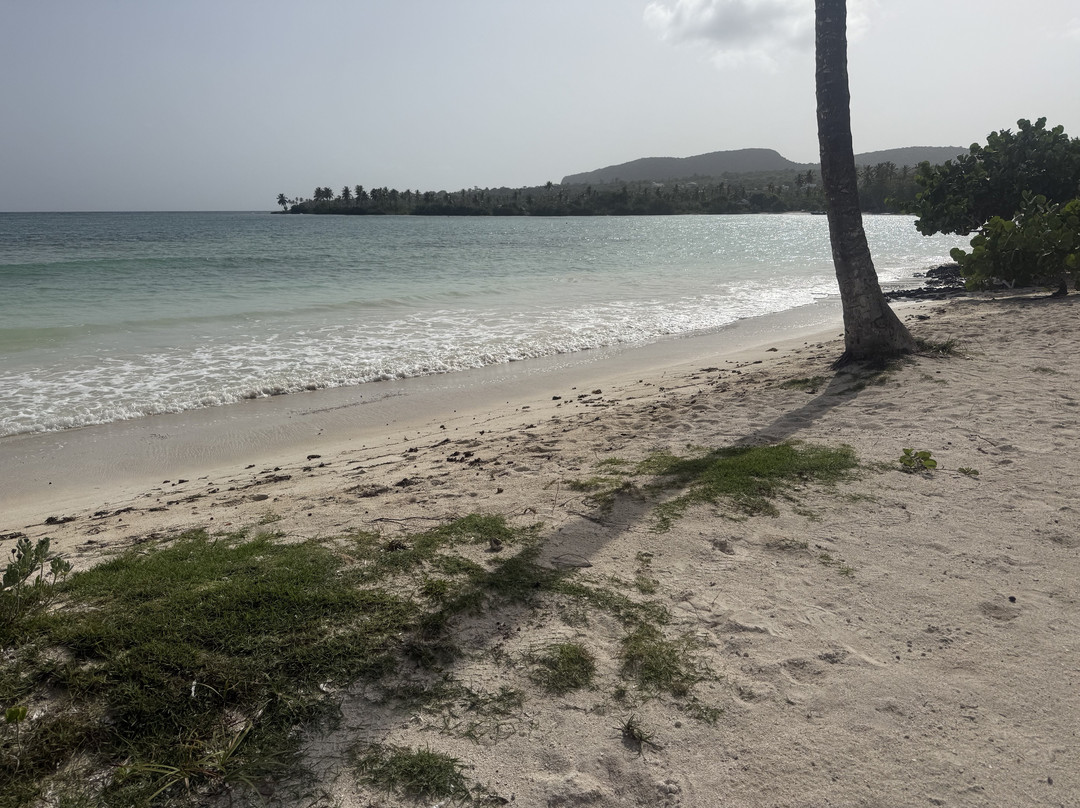 Playa Aserradero-Las Galeras必去景点