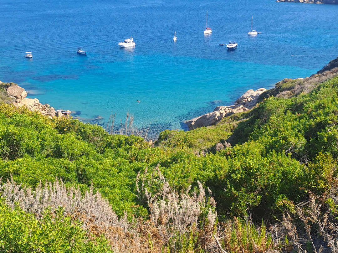 Spiaggia delle Cannelle-Isola del Giglio必去景点