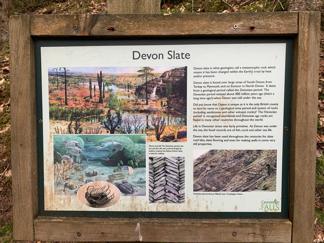 Canonteign Falls-Christow必去景点