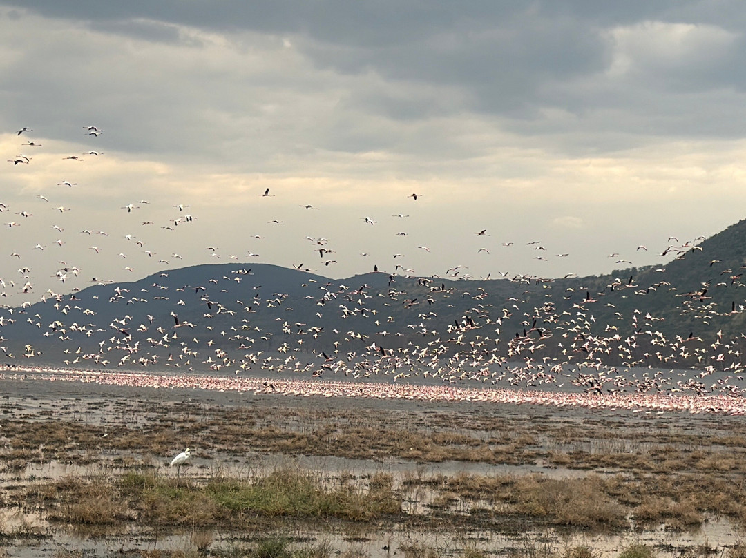 Cherish Africa Safaris-Kikuyu必去景点