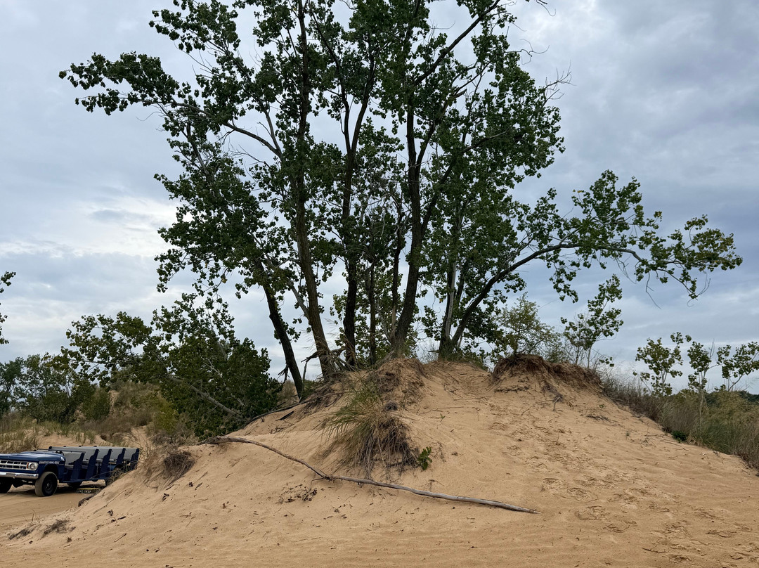 Saugatuck Dune Rides-索格塔克必去景点