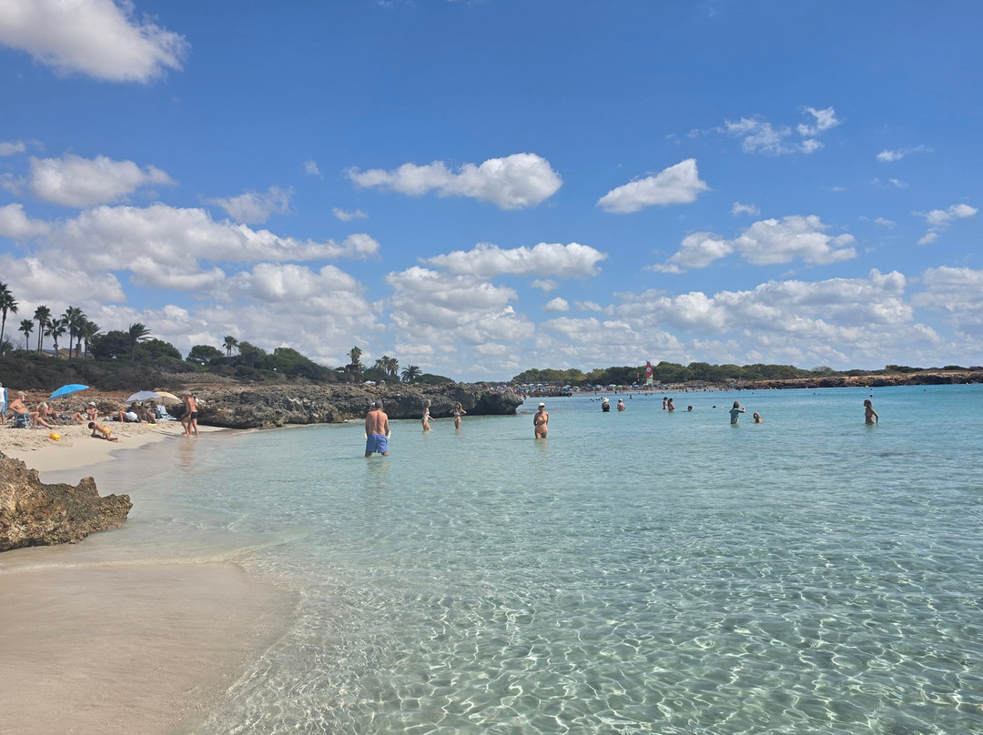 Platja de Son Xoriguer-卡兰博希必去景点
